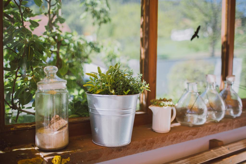 Dreimaederlhaus - Das Vegetarische Boutique Hotel Füssen Zewnętrze zdjęcie